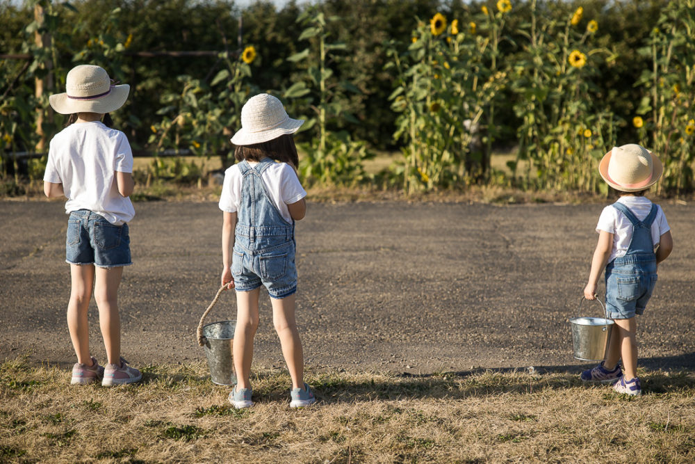 Edmonton Fall family photos in Sunflower field - documentary family portrait by Paper Bunny Studios