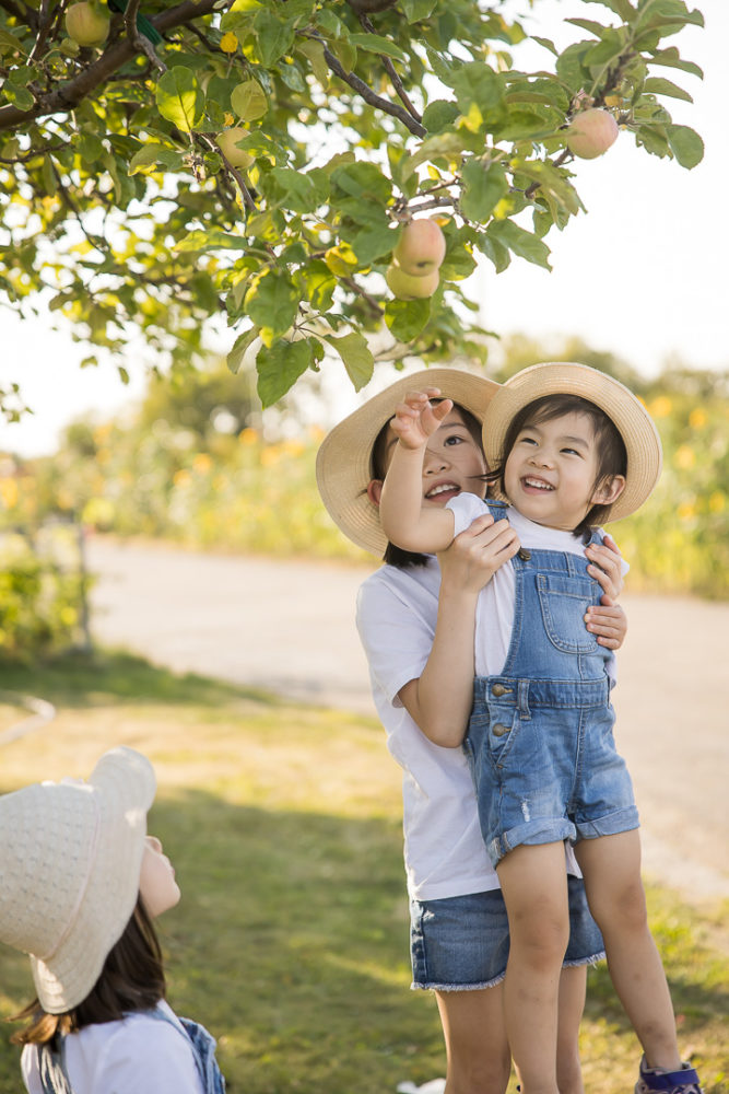 Edmonton Fall family photos in apple orchard - documentary family portrait of big sis helping little sisby Paper Bunny Studios