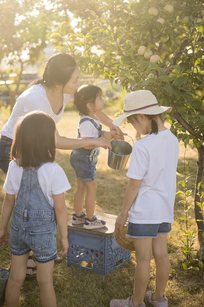 Edmonton Fall family photos in apple orchard - documentary family photo of Mom helping youngest pick apples by Paper Bunny Studios