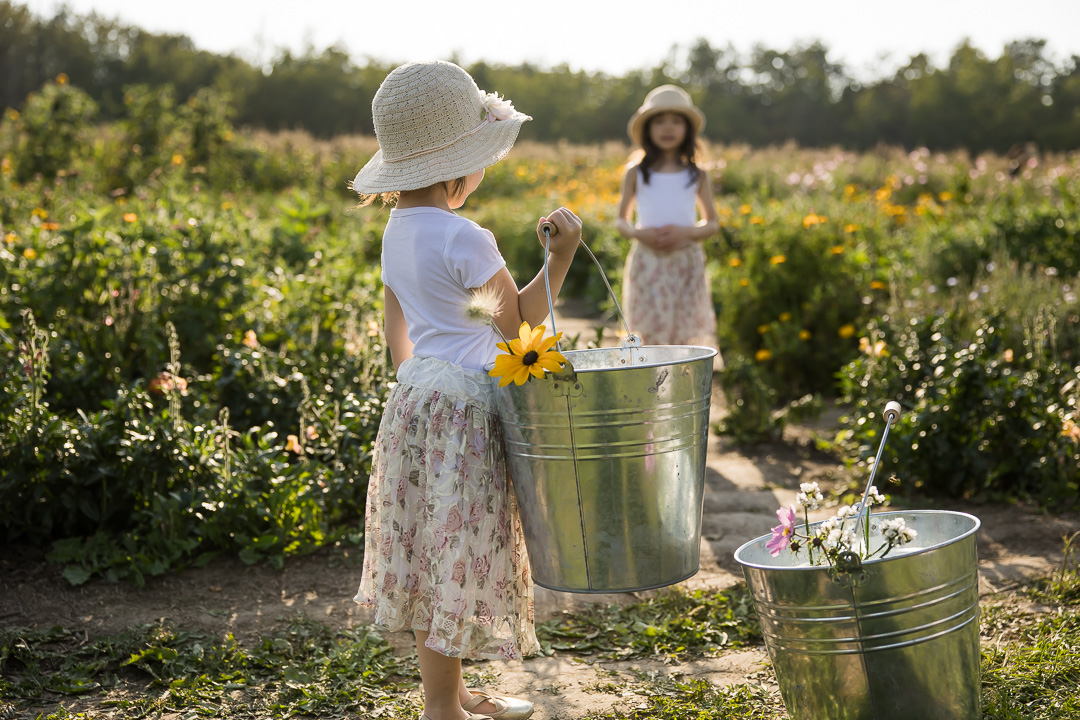 flower picking in a field by Edmonton family photographer Paper Bunny Studios