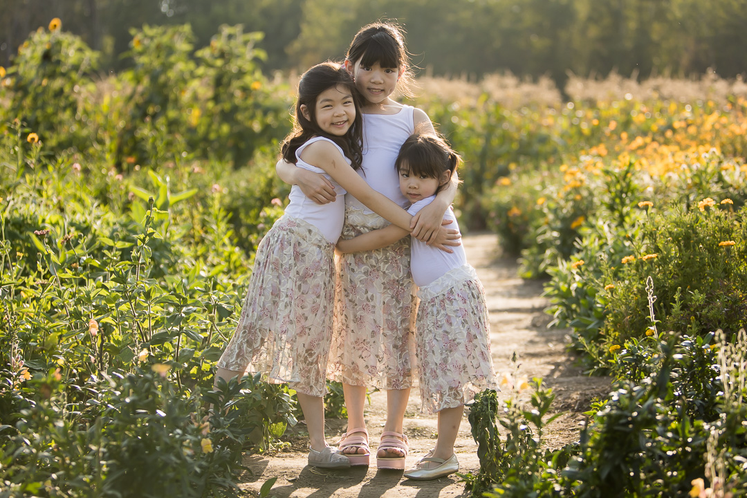 3 daughters in matching outfits hugging in a flower field by Edmonton family photographer Paper Bunny Studios