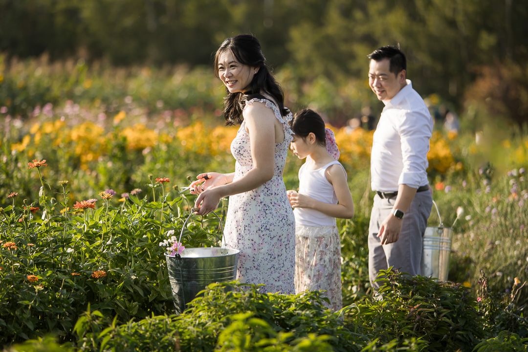 Mom & dad walking with kids through flower field by Edmonton family photographer Paper Bunny Studios