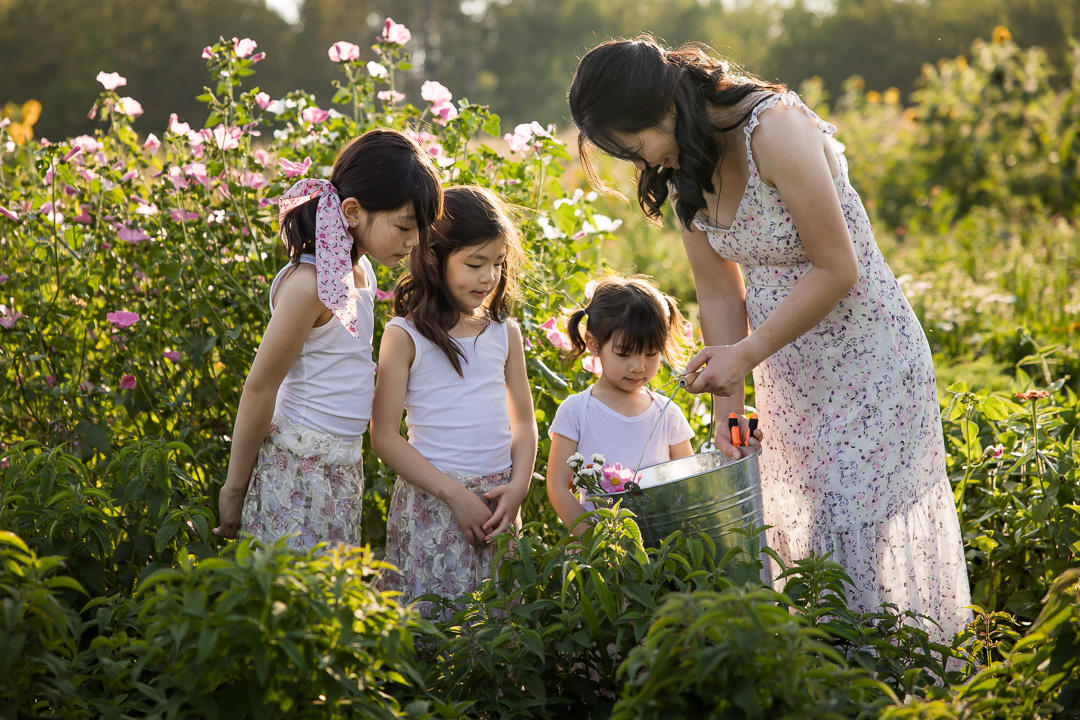 Mom showing her daughters flowers picked in a flower field by by Edmonton family photographer Paper Bunny Studios