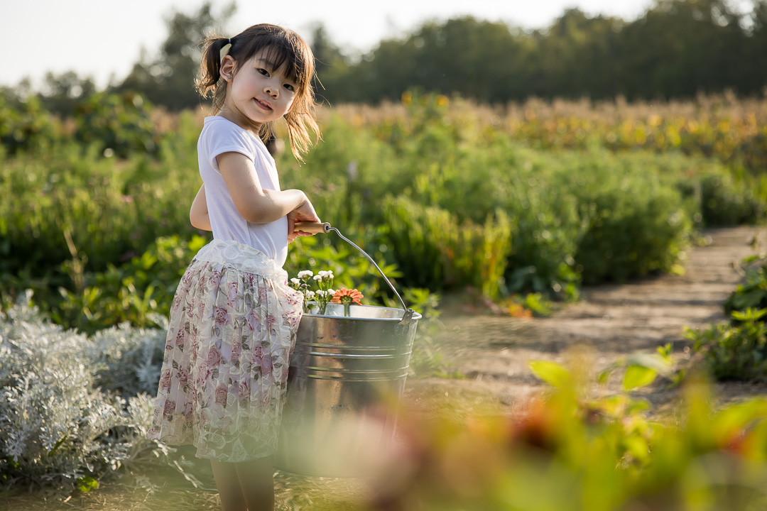 Daughter holding bucket of picked flowers by Edmonton family photographer Paper Bunny Studios