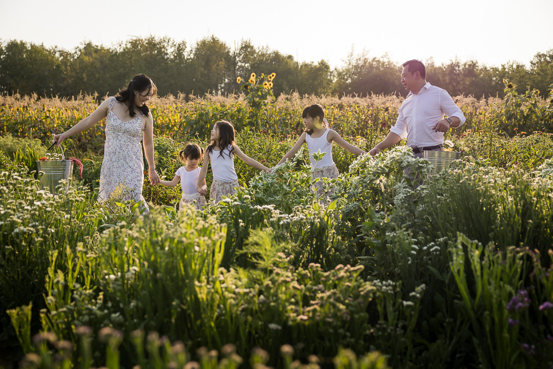 A Field of Flowers