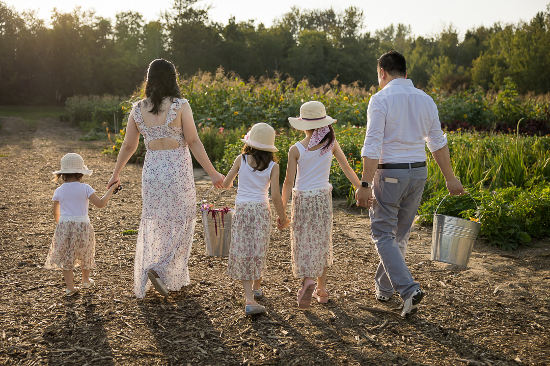 Family walking away in flower field by Edmonton documentary family photographer Paper Bunny Studios