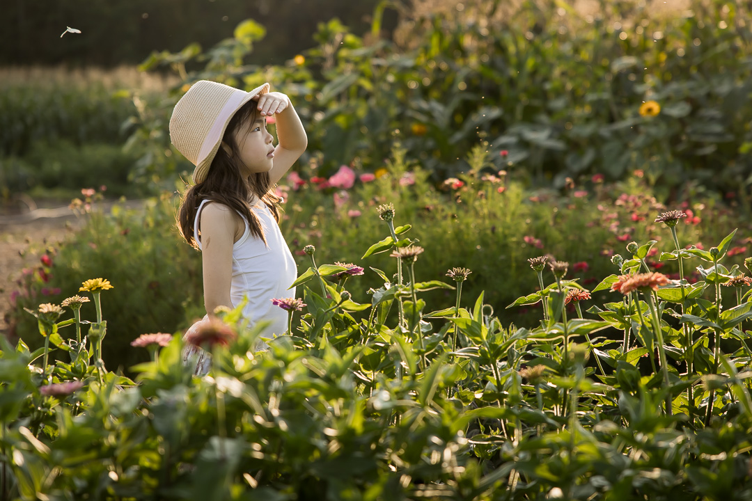 Daughter looking out in flower field by Edmonton documentary family photographer Paper Bunny Studios