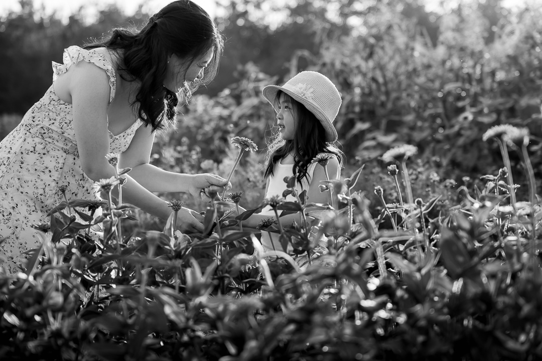 black & white photo of mom & daughter in flower field by Edmonton documentary family photographer Paper Bunny Studios