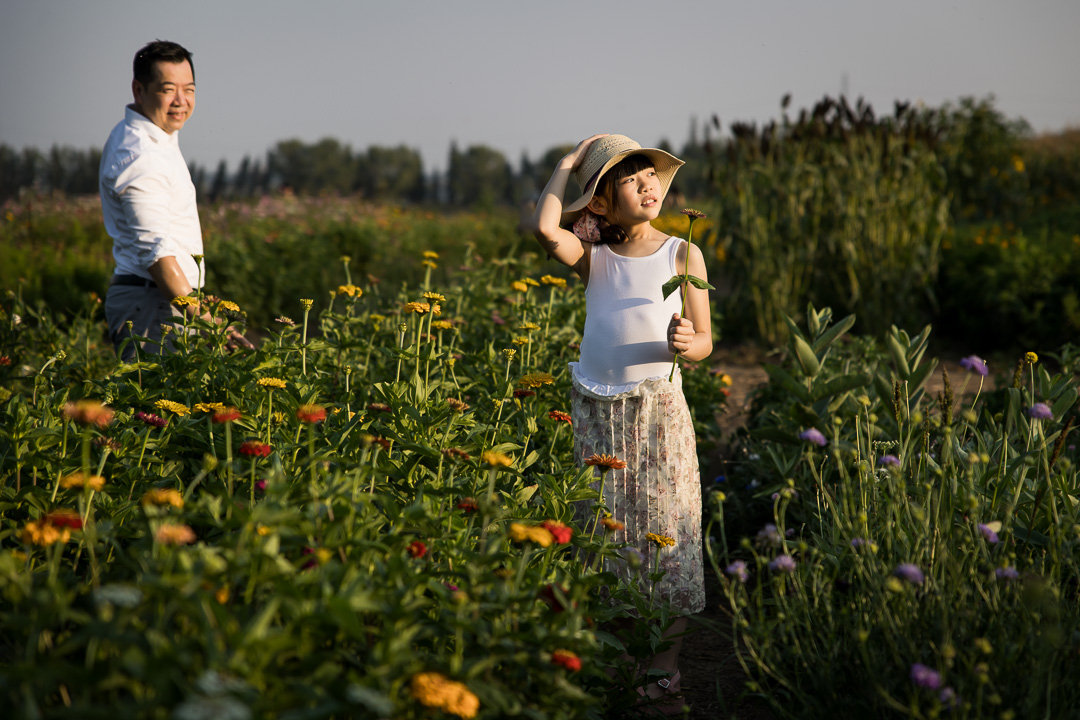 Dad & daughter in flower field by Edmonton documentary family photographer Paper Bunny Studios