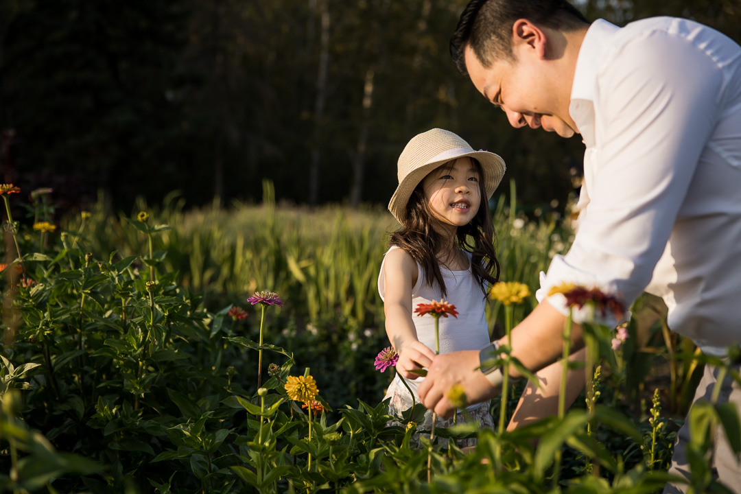 Dad & daughter picking flowers in a field by Edmonton documentary family photographer Paper Bunny Studios