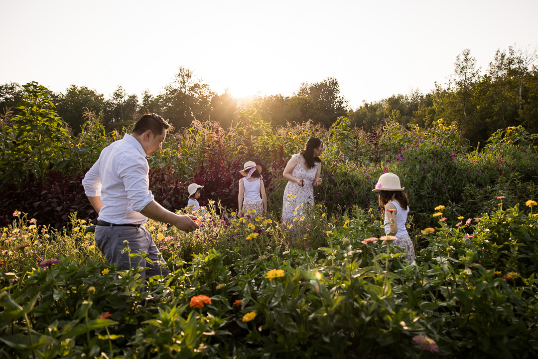 family walking through flower field by Edmonton documentary family photographer Paper Bunny Studios