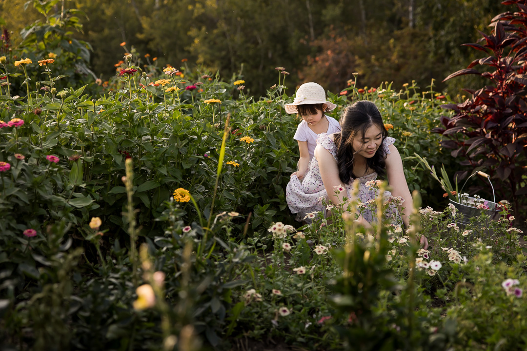 Daughter holding up mom's skirt while she's picking flowers by Edmonton documentary family photographer Paper Bunny Studios