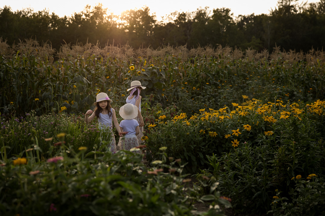 Daughters walking through flower field by Edmonton documentary family photographer Paper Bunny Studios