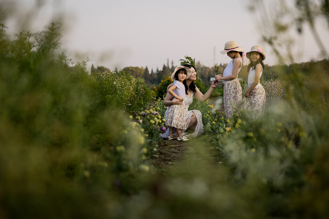 Mom & daughters picking flowers by Edmonton documentary family photographer Paper Bunny Studios