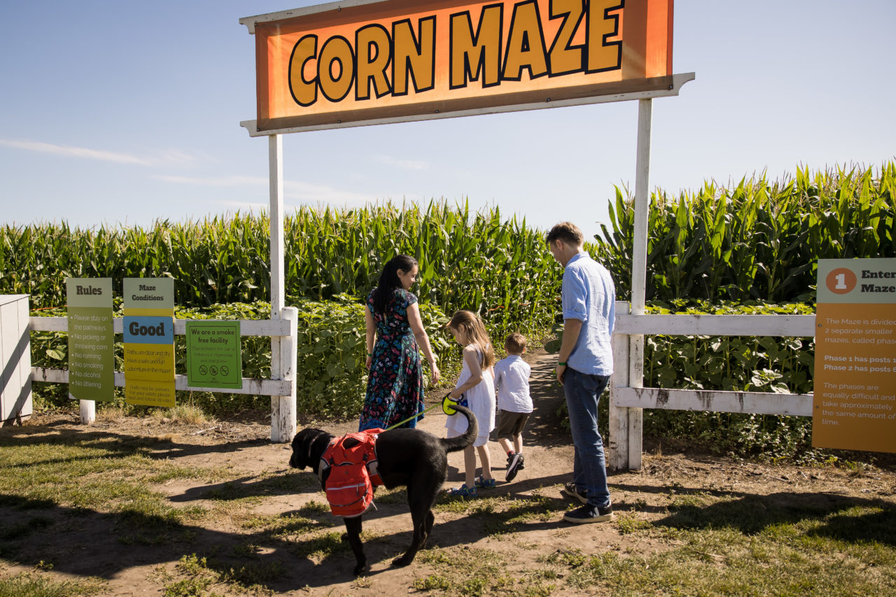 Edmonton corn maze family photography by Paper Bunny Studios - family at corn maze entrance