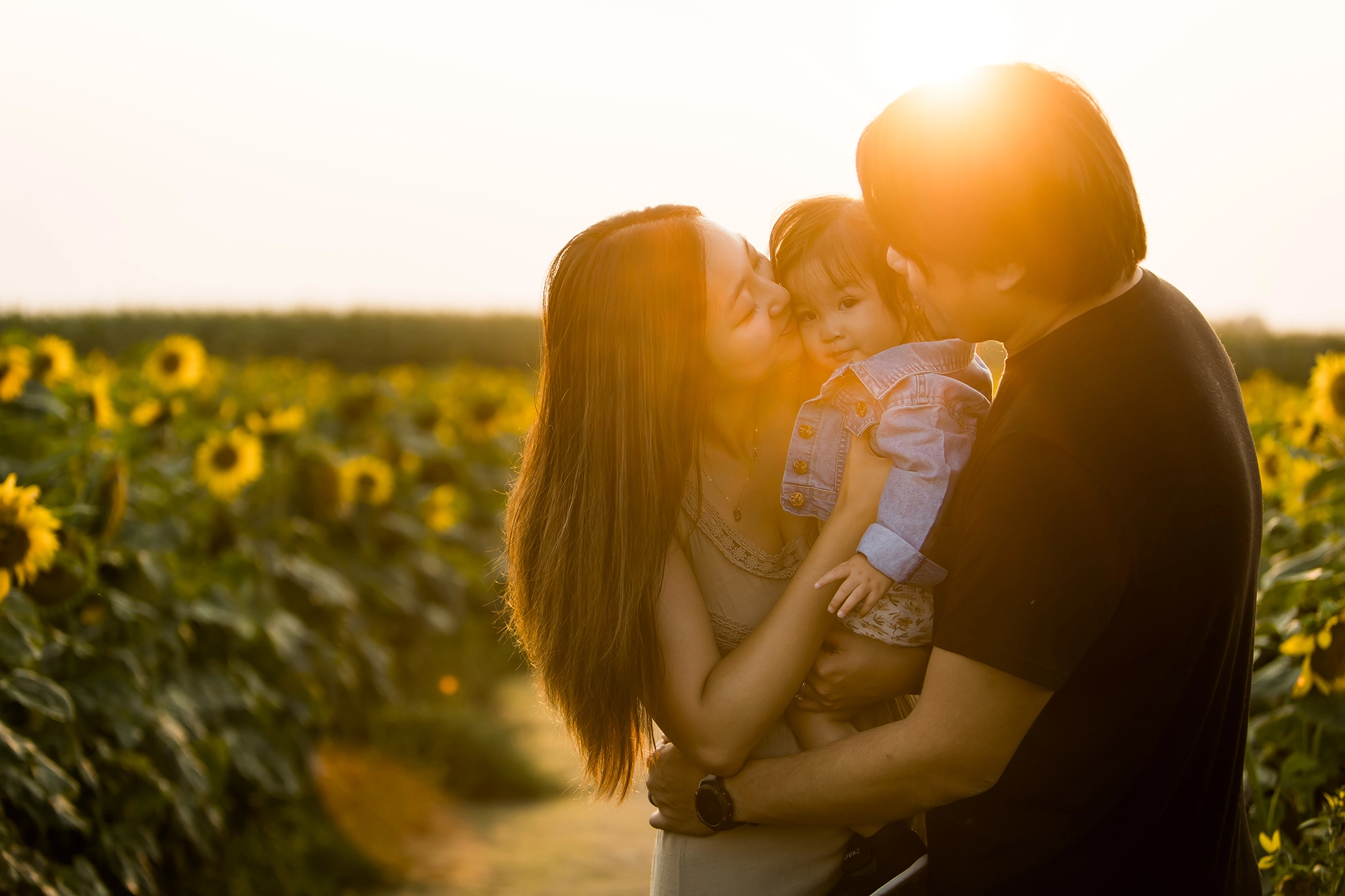 Edmonton family photos in sunflower field at sunset showing mom & dad kissing baby girl on cheeks by fine art family photographer Paper Bunny Studios