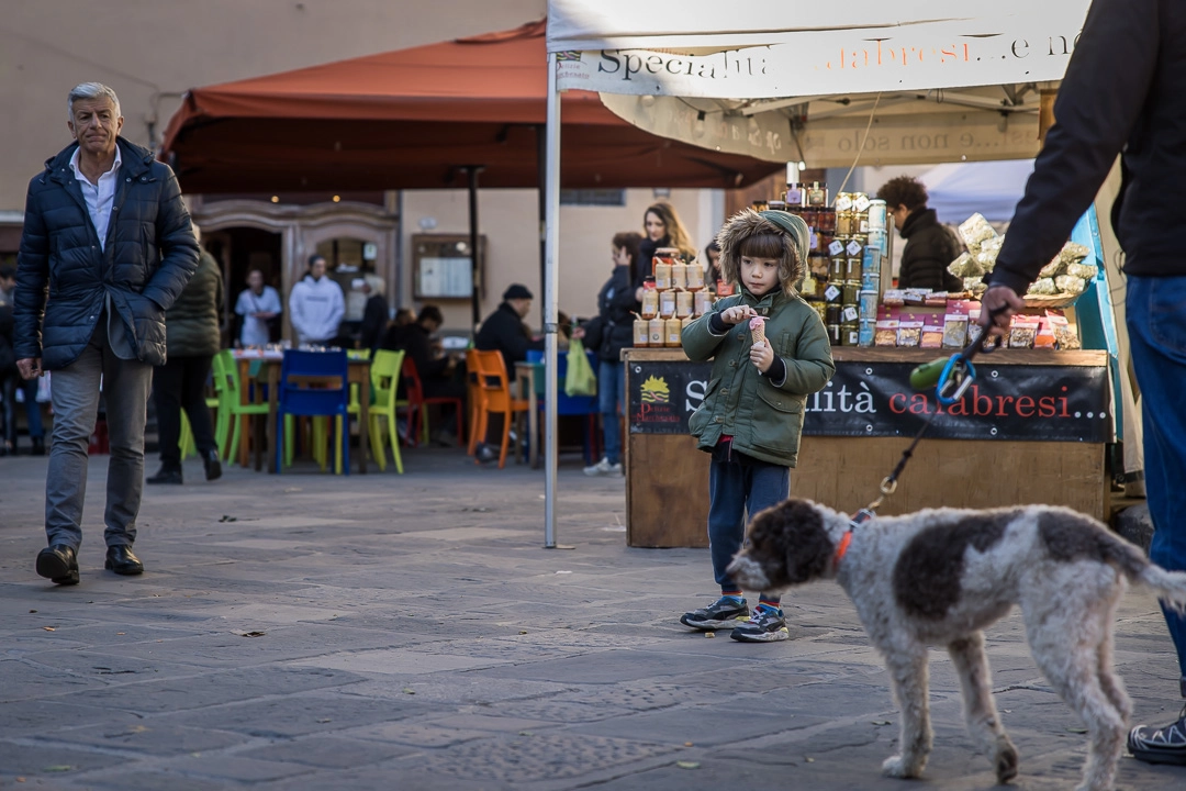 Young boy in market in Florence by Edmonton family photographer Paper Bunny Studios