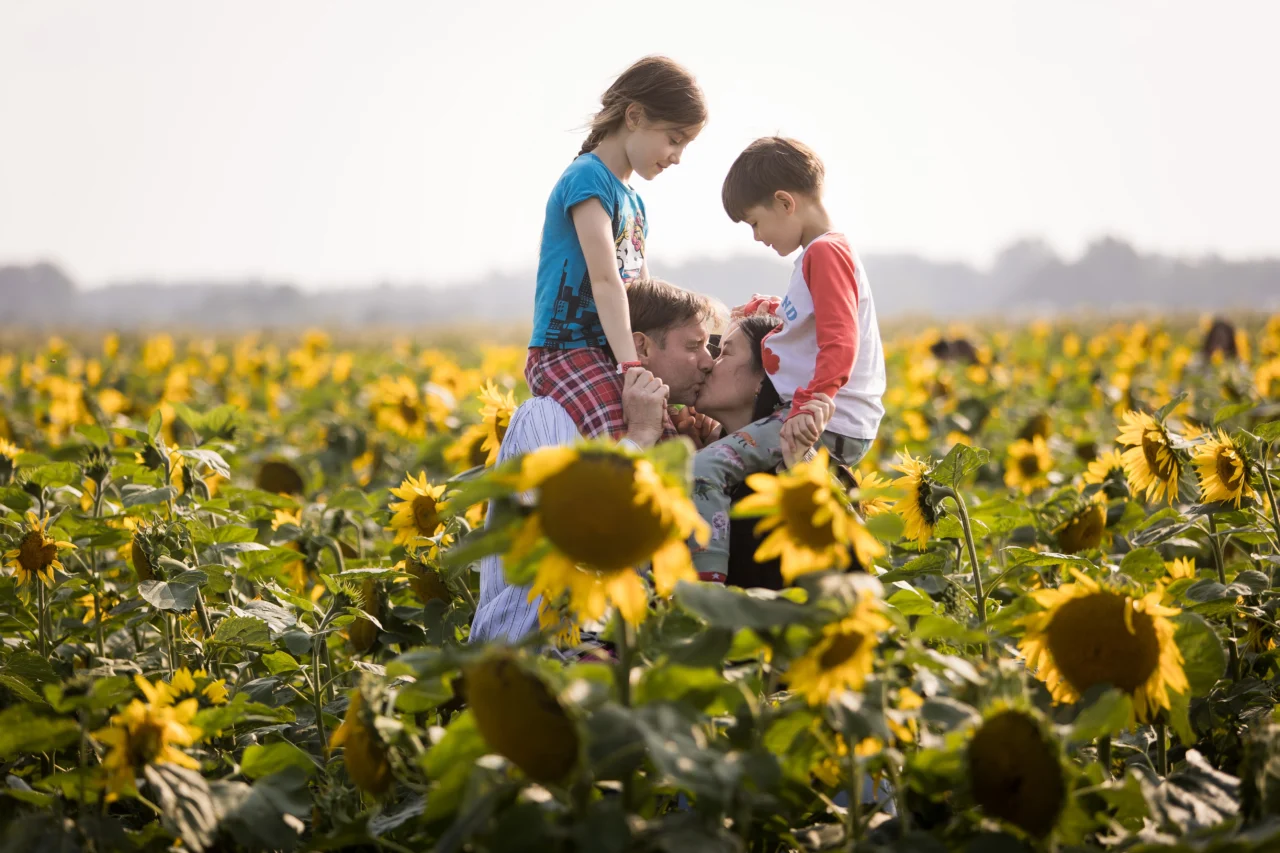 Edmonton family photos in sunflower field of kids on parent's shoulders by fine art family photographer Paper Bunny Studios