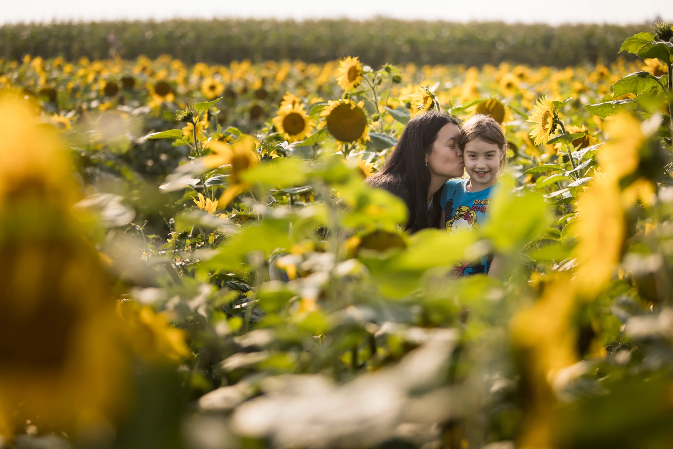 Mom kissing daughter on cheek during family mini session in sunflower field by Edmonton family photographer Paper Bunny Studios