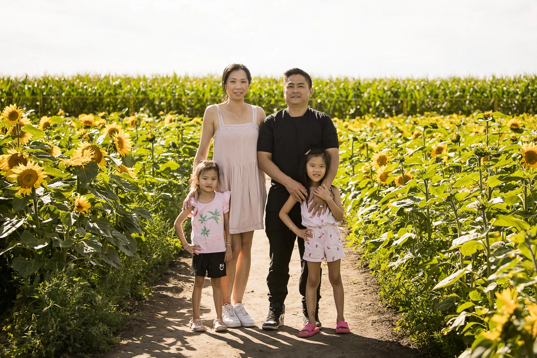 Edmonton family photos in sunflower field with  mom, dad & both daughters facing camera by fine art family photographer Paper Bunny Studios