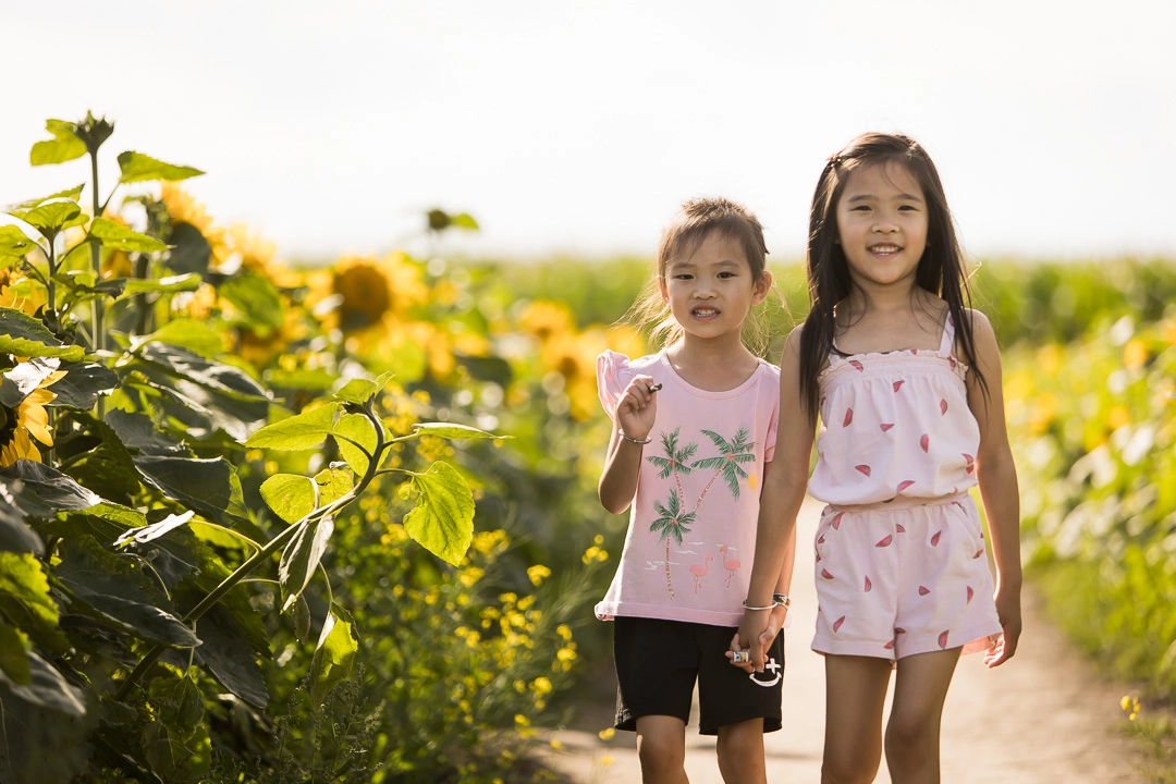 Edmonton family photos in sunflower field of daughters cuddling by fine art family photographer Paper Bunny Studios